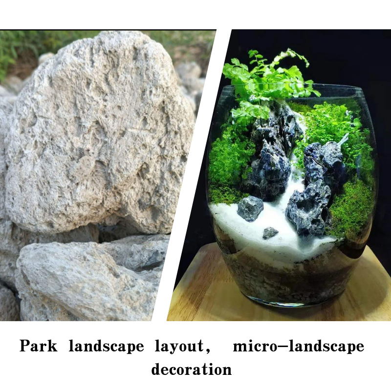 pumice stone for plants