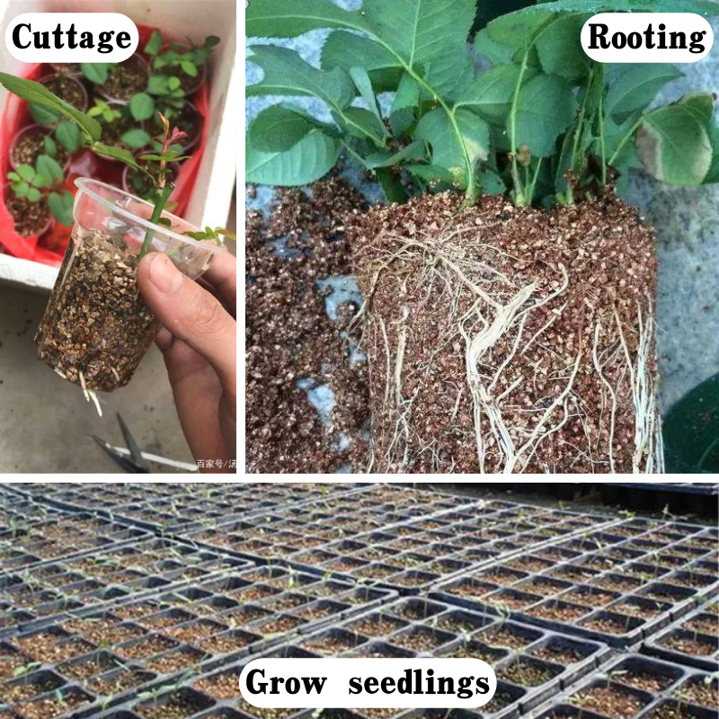 peat moss vermiculite and perlite