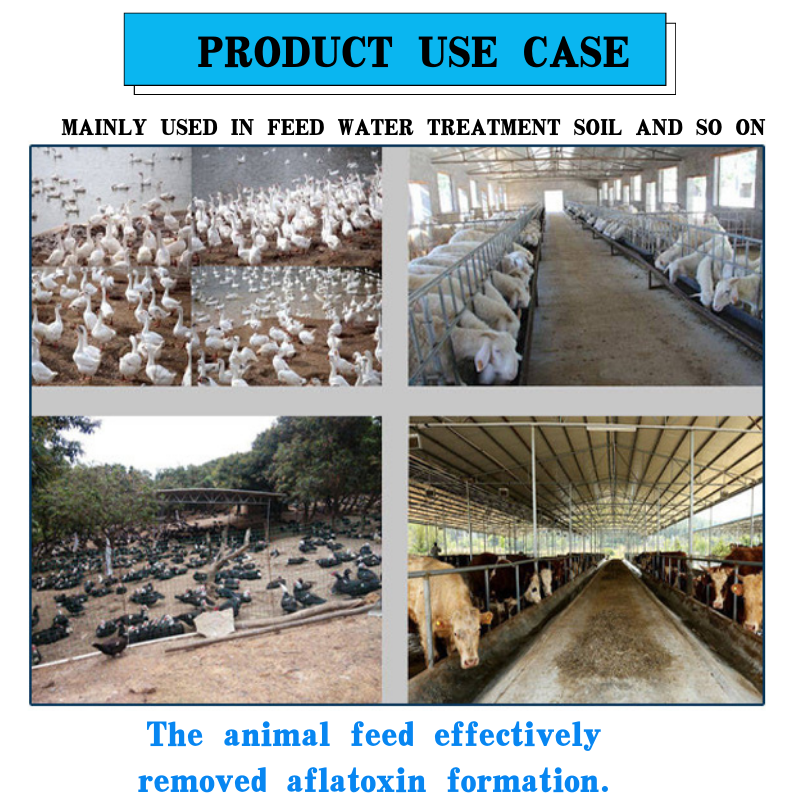 zeolite powder for sale