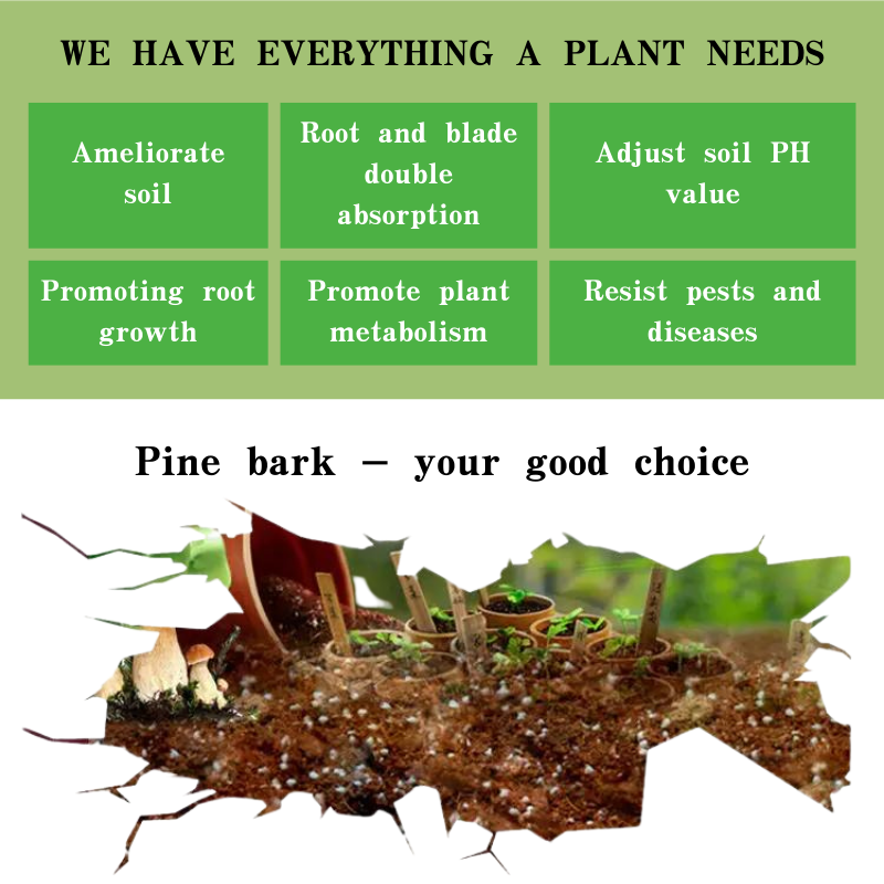 Read More About oem organic zeolite powder factory