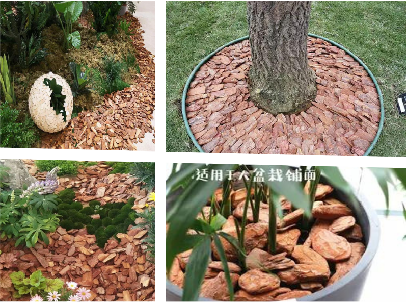 Read More About oem organic zeolite powder factory