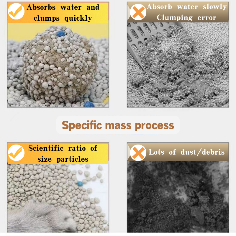 Read More About cat litter