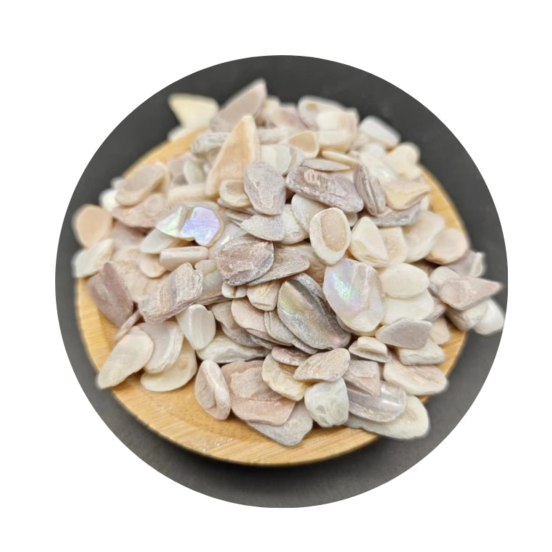 Shell Sand Is A Common Building Material.