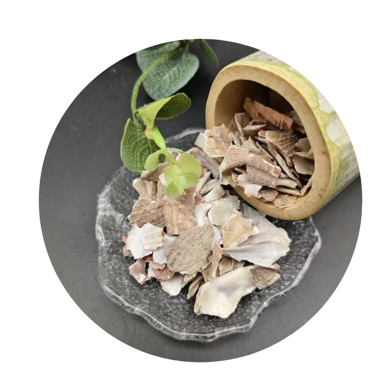 Shell Sand Is A Common Building Material.
