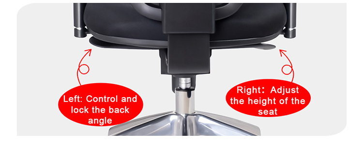 fully adjustable ergonomic office chair