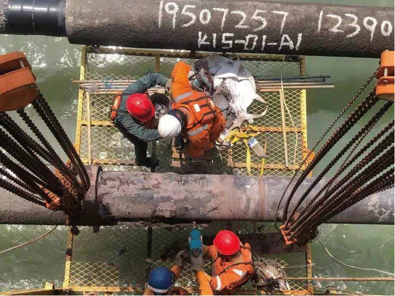 Read More About concrete weight coating mesh