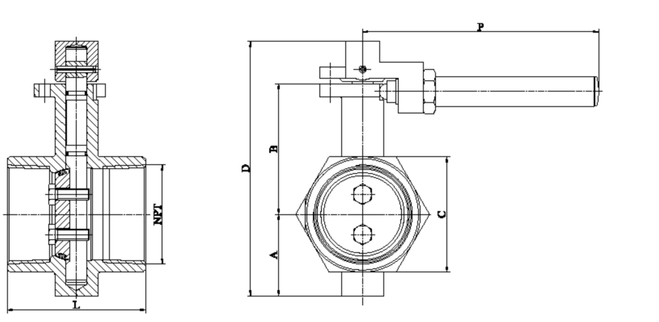 Read More About threaded check valve