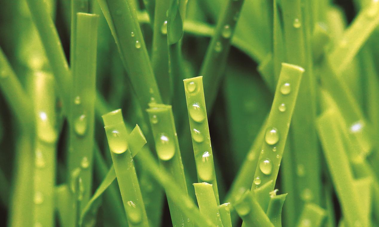 Read More About artificial grass for soccer fields