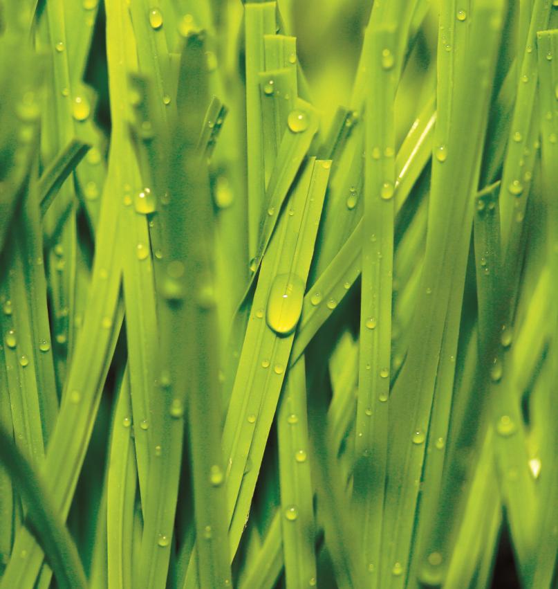 Read More About artificial grass for football ground