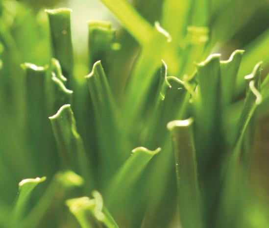 Read More About artificial grass for football ground