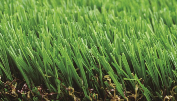 Read More About artificial lawn for pets