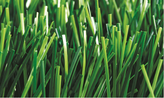 Read More About artificial pet turf