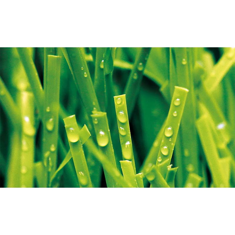 SYNTHETIC GRASS FOR TENNIS, MT-FIBRILLATED GRASS