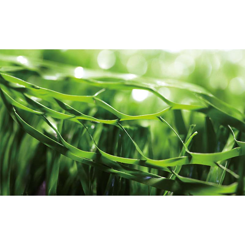 RESIDENTIAL ARTIFICIAL GRASS, MT-WISDOM / MT-SUPERIOR
