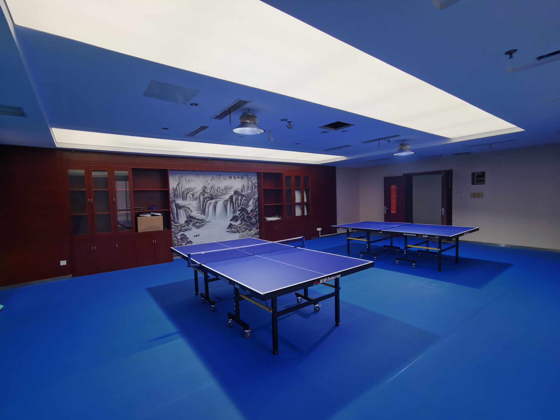 Read More About Enlio Table Tennis Court Mat 5.0