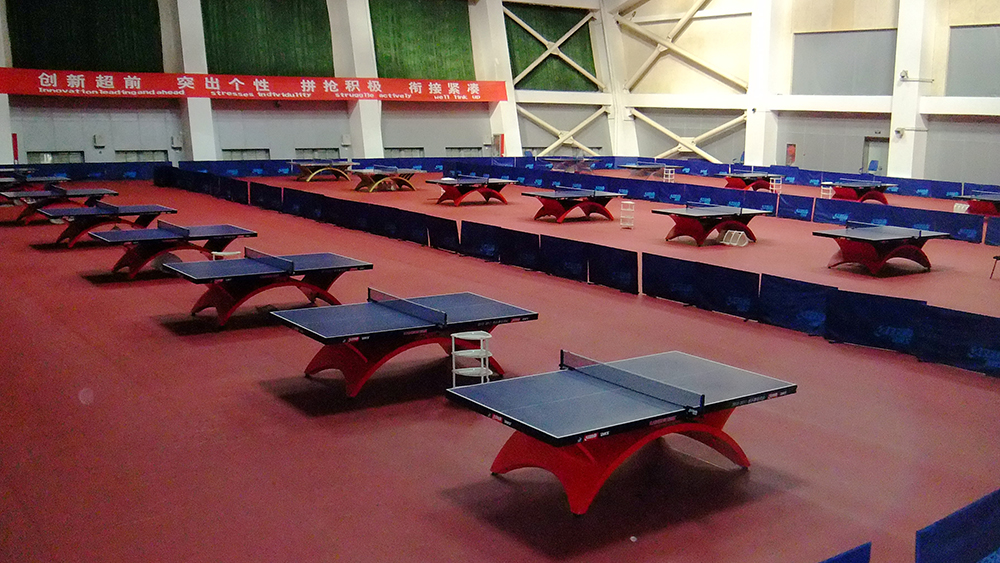 Read More About Enlio Table Tennis Court Mat 5.0