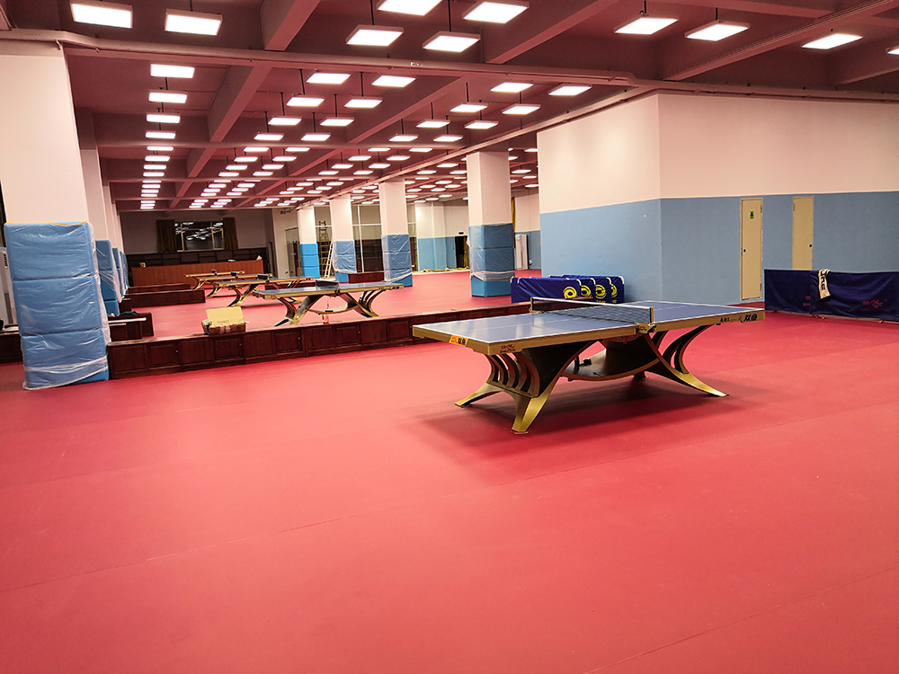 Read More About Enlio Table Tennis Court Mat 5.0