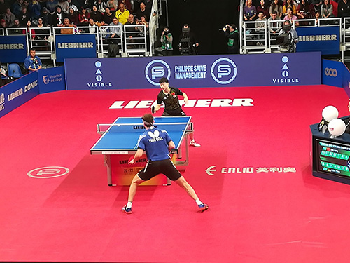 Read More About Enlio Table Tennis Court Mat 5.0