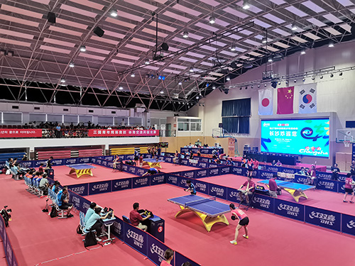 Read More About Enlio Table Tennis Court Mat 5.0