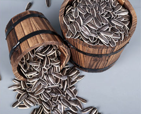 Eya Sunflower Seeds Exporter | Crispy, Nutritious, Premium