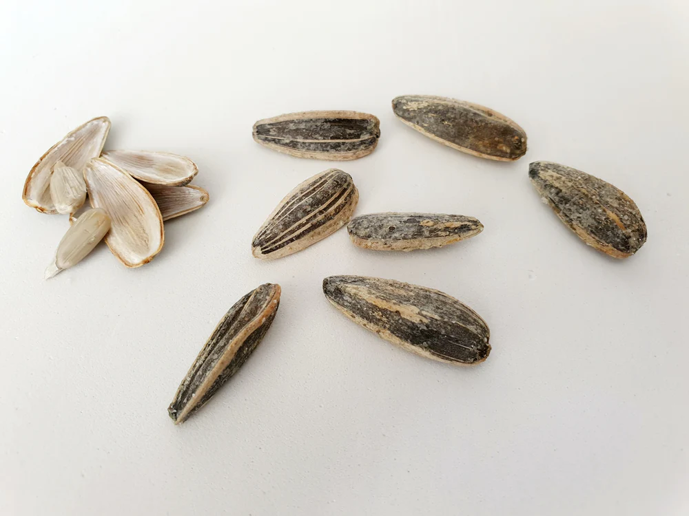 Sunflower Seeds for Beauty: How They Can Improve Your Skin and Hair sunflower seeds