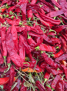 Read More About cayenne pepper pods