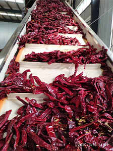 Read More About chili pepper pods