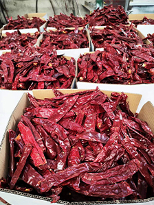 Read More About red pepper pod