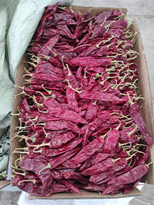 Read More About red chili pods