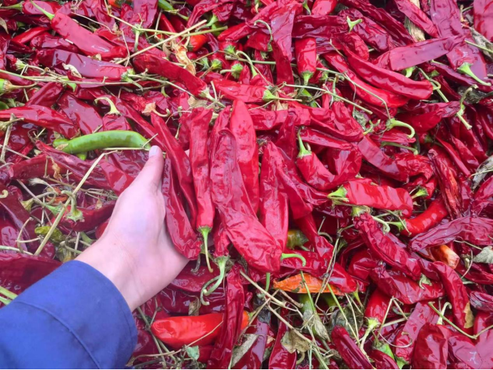 Read More About red pepper dried