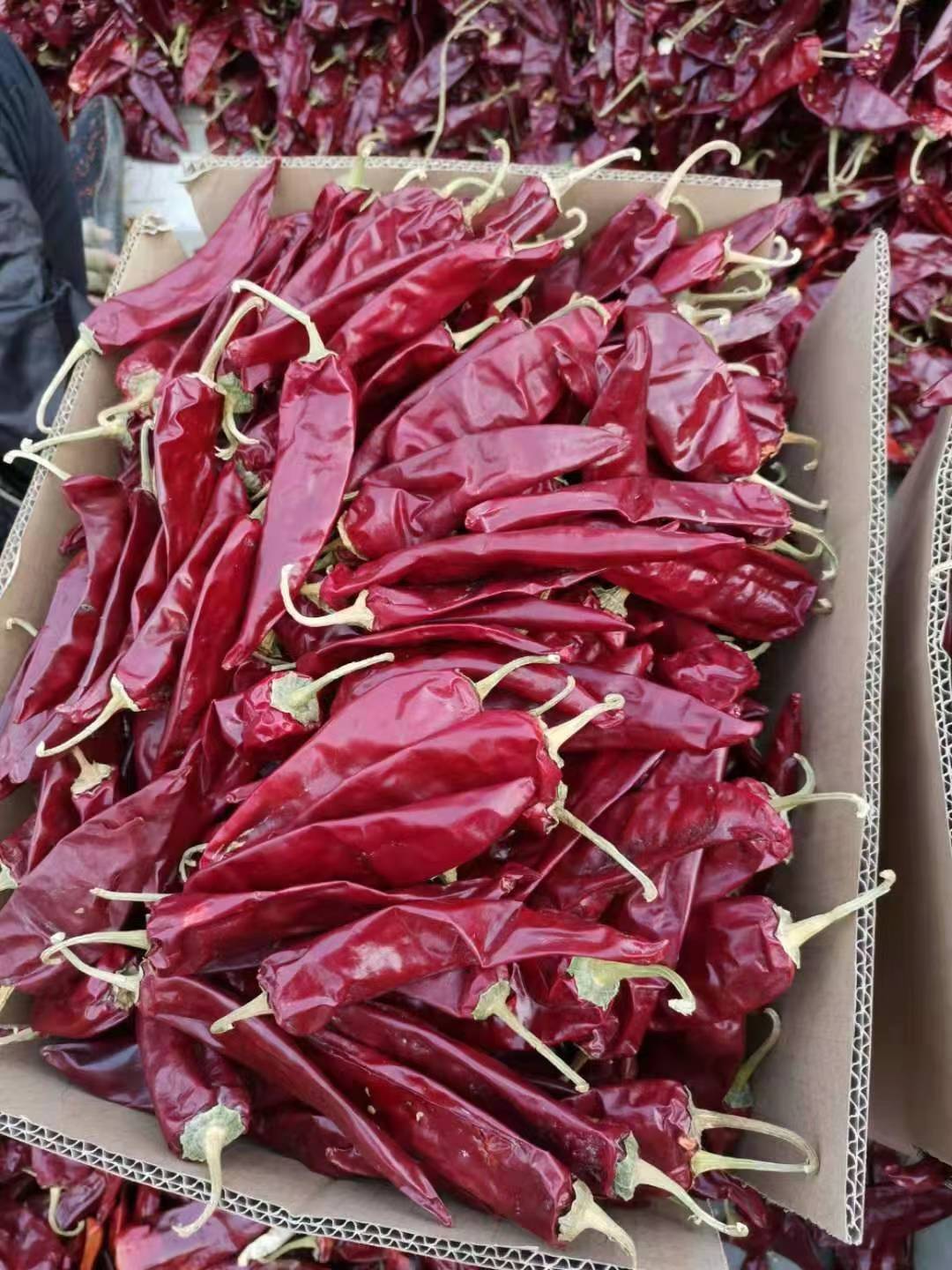 round dried chilli