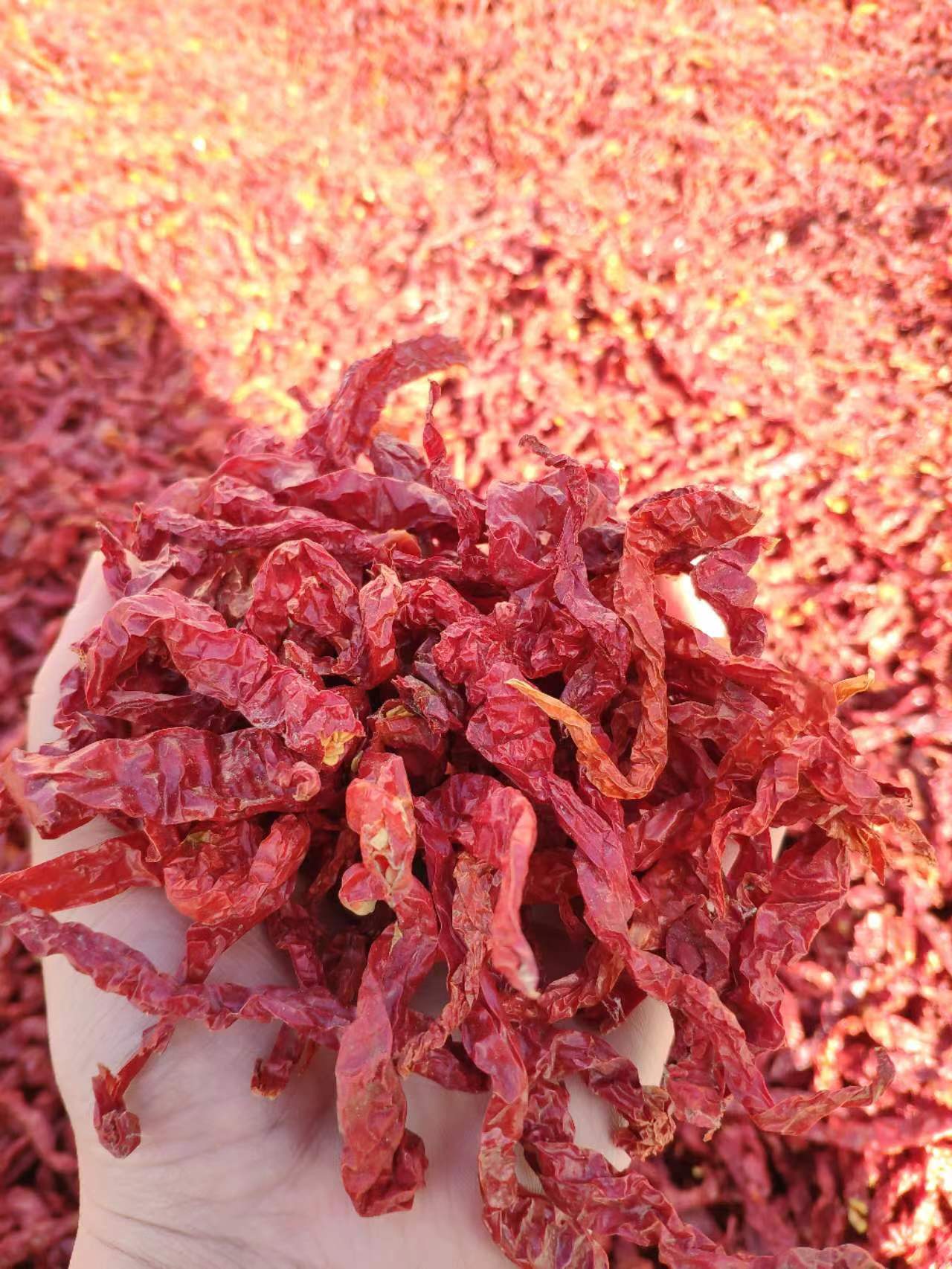 Read More About organic dried peppers