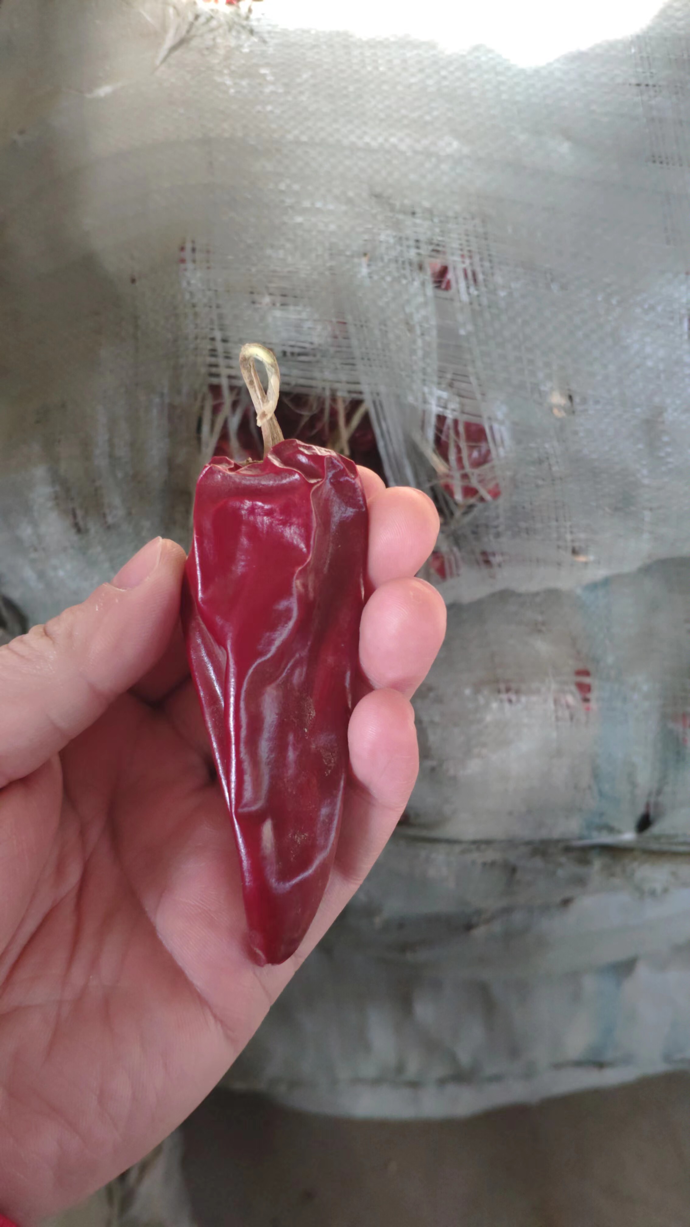 Read More About organic dried chili peppers