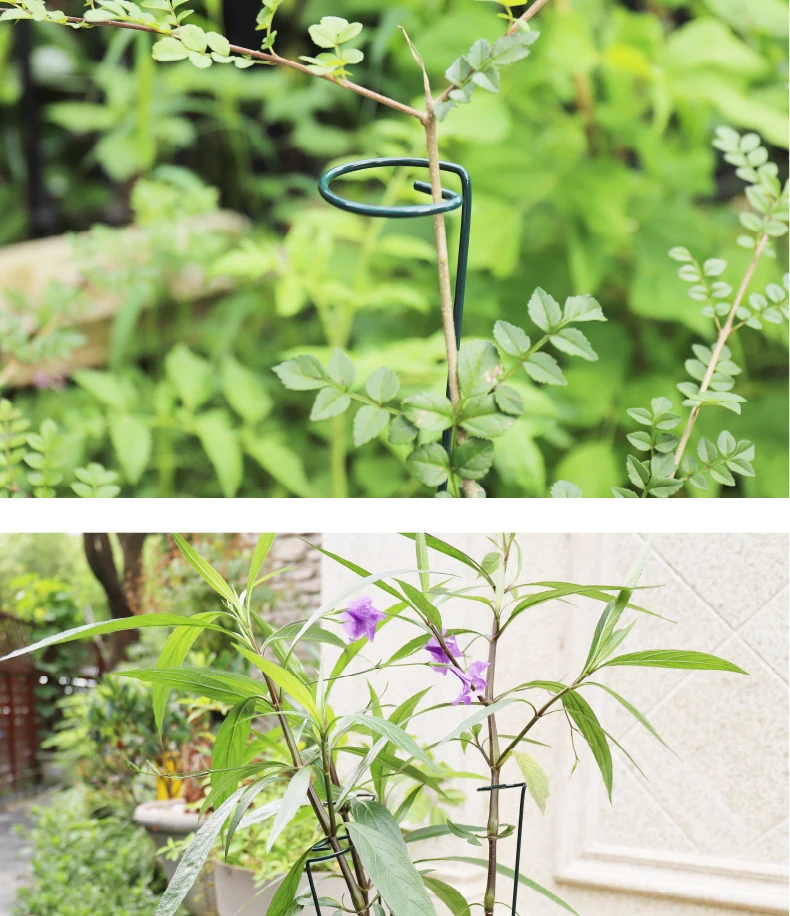 Read More About metal garden plant stakes