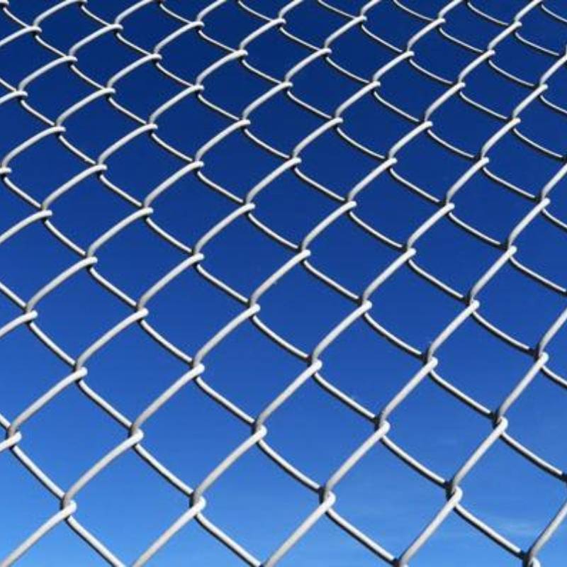 Read More About stainless steel chicken wire mesh