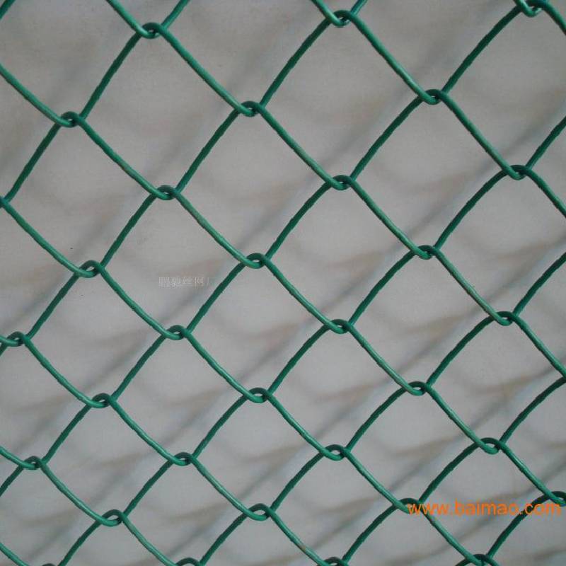Read More About stainless chicken wire