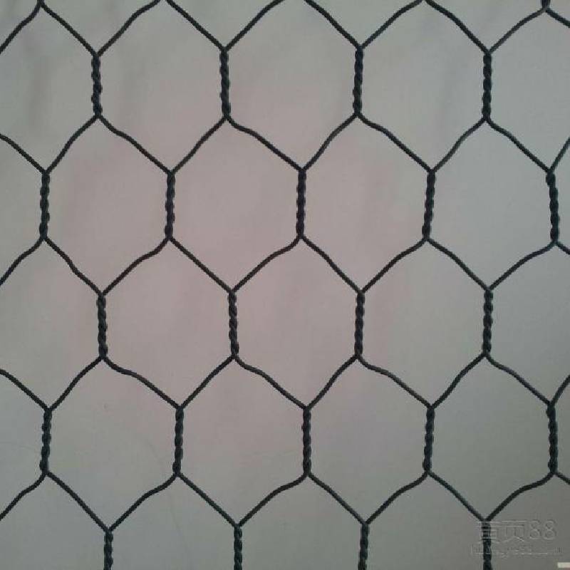 Read More About poultry net