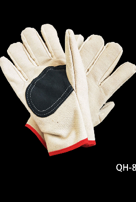 Read More About polos