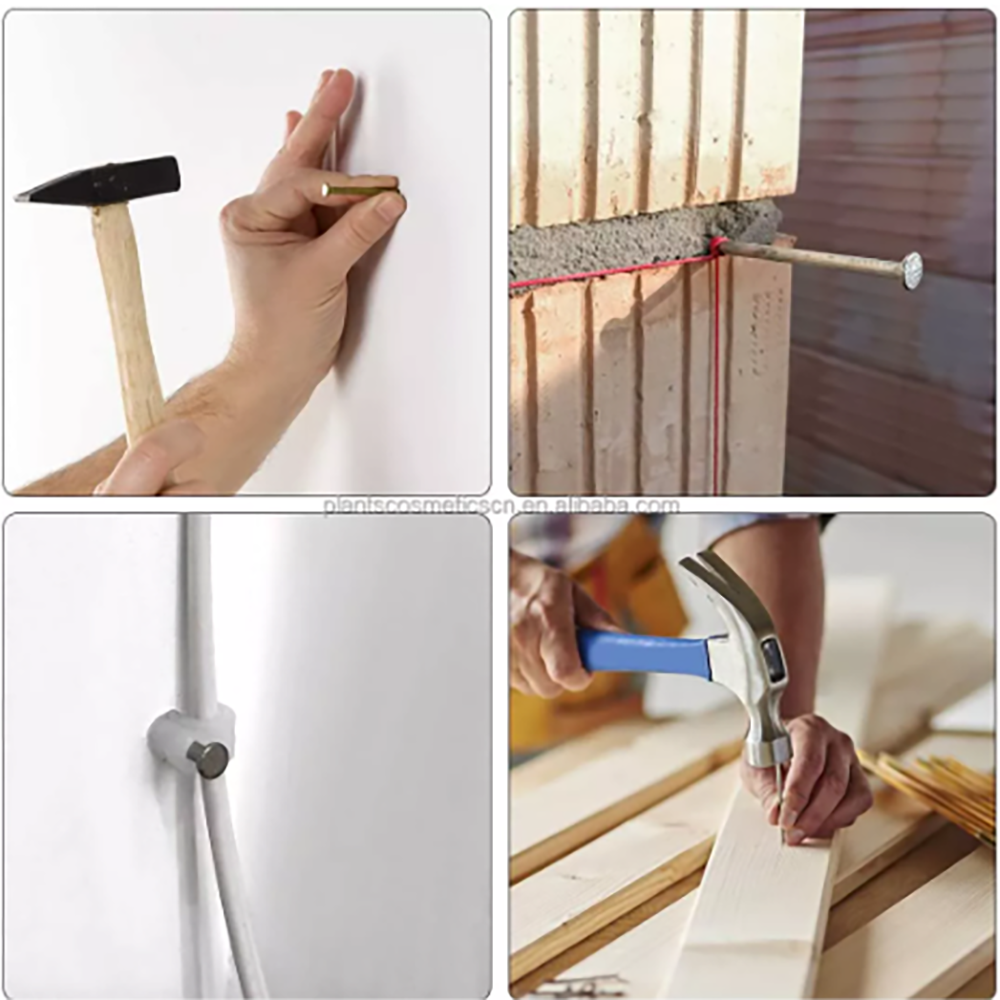 Read More About common nails