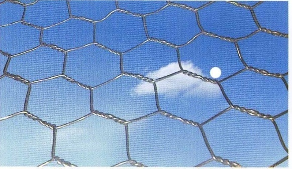 Read More About cute chicken wire fence