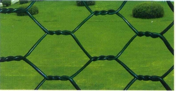 Read More About hexagonal mesh wire