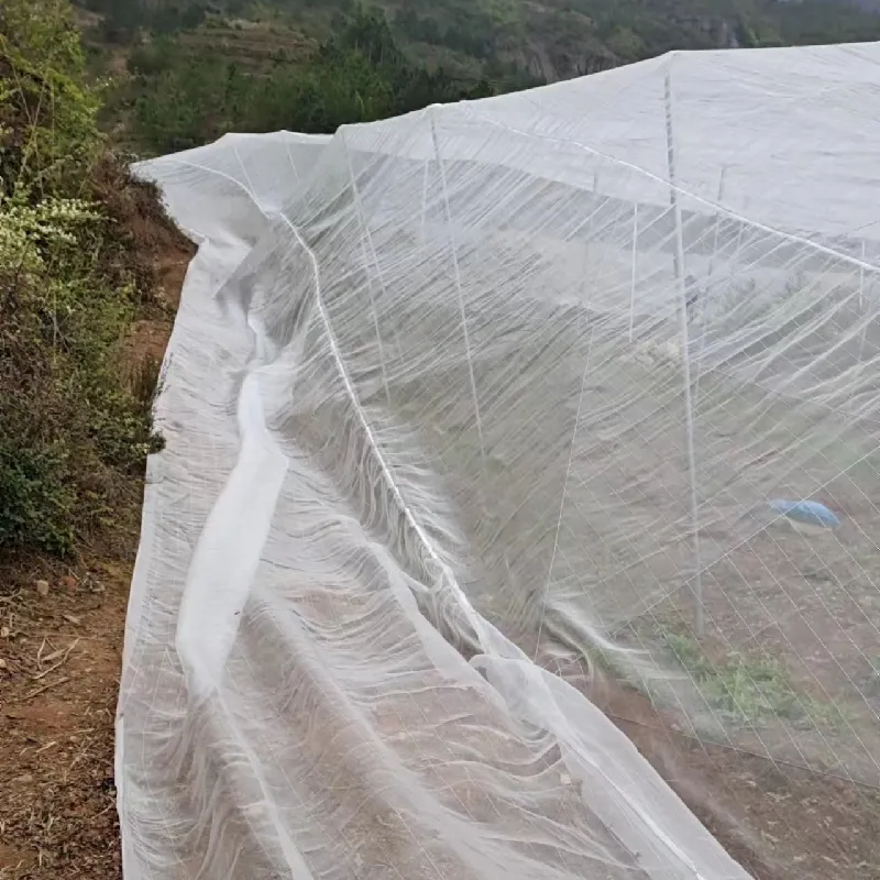 head nets for bugs Read More About head nets for bugs