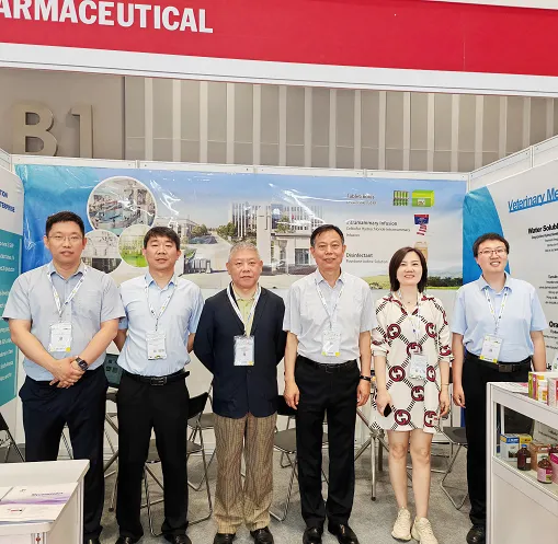 Read More AboutDexamethasone Sodium Phosphate Injection Manufacturer
