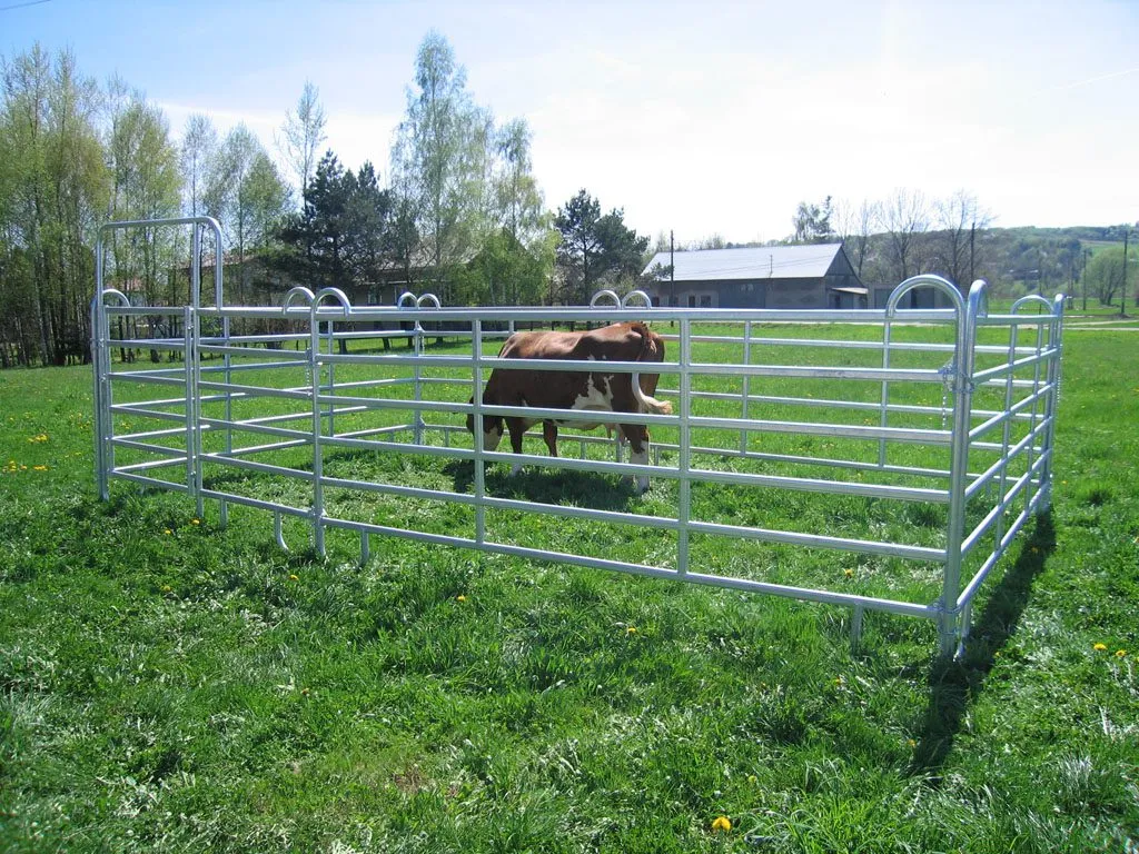 Read More About cattle panel for sale