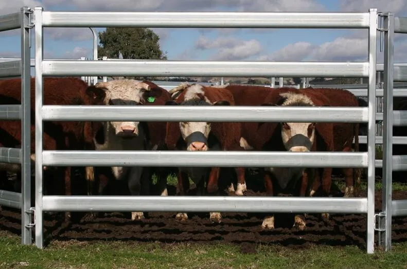Read More About cattle fence for sale
