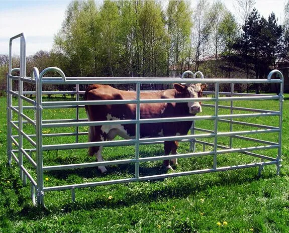 Read More About cattle panel for sale