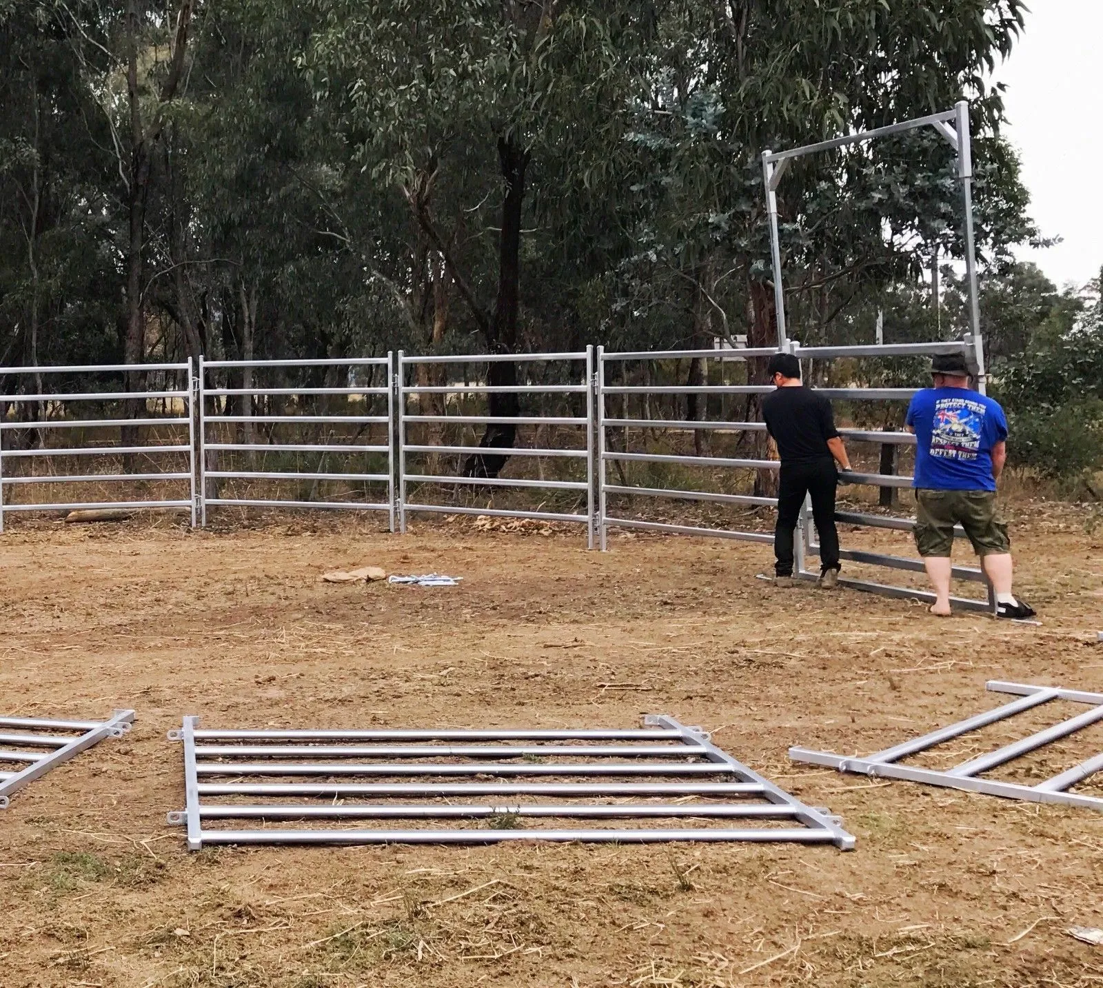 Read More About cattle panel for sale