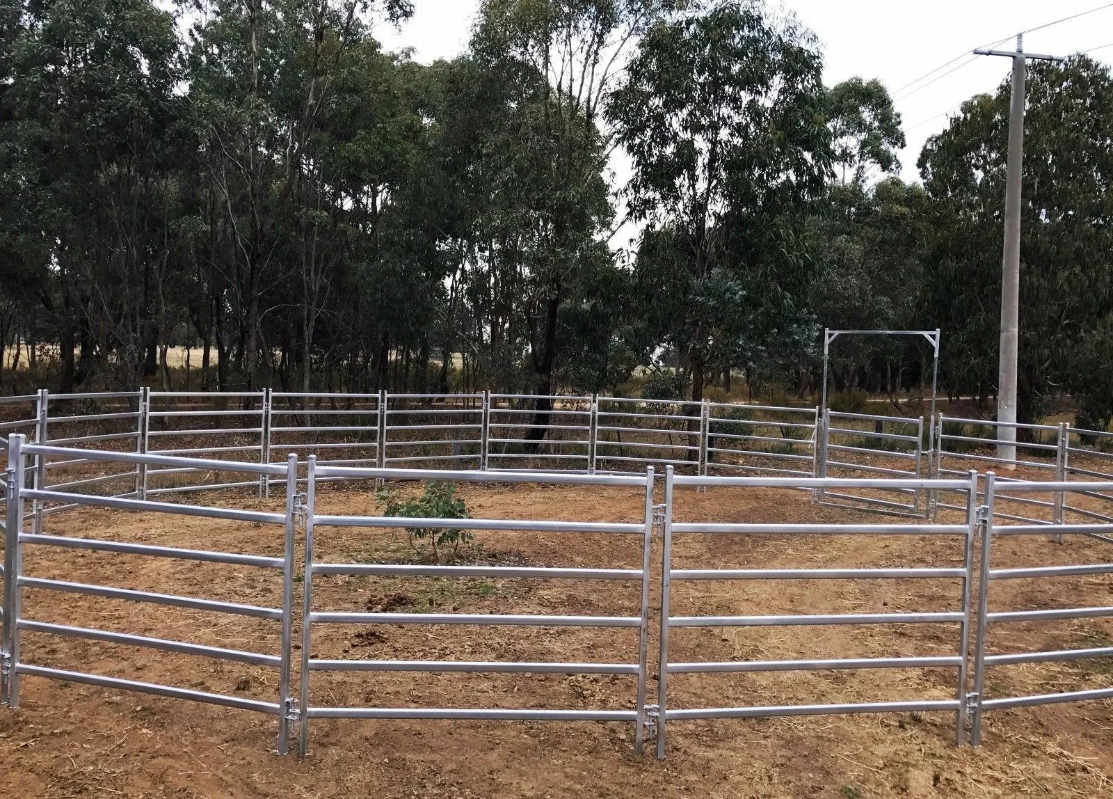 Read More About cattle panels wholesale