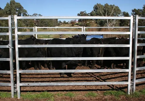 Read More About cow panels for sale