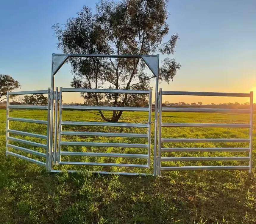 Read More About corral panels for sale